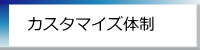 カスタマイズ体制